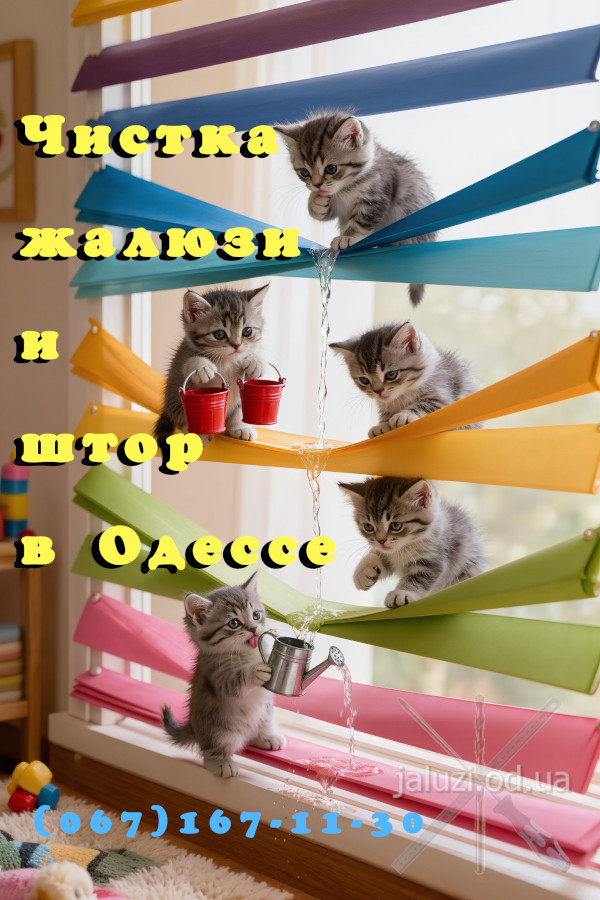 Чистка и стирка в Одессе